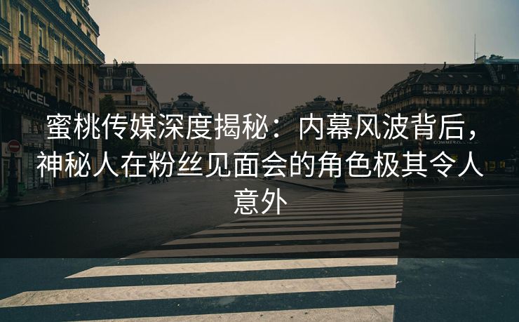 蜜桃传媒深度揭秘：内幕风波背后，神秘人在粉丝见面会的角色极其令人意外