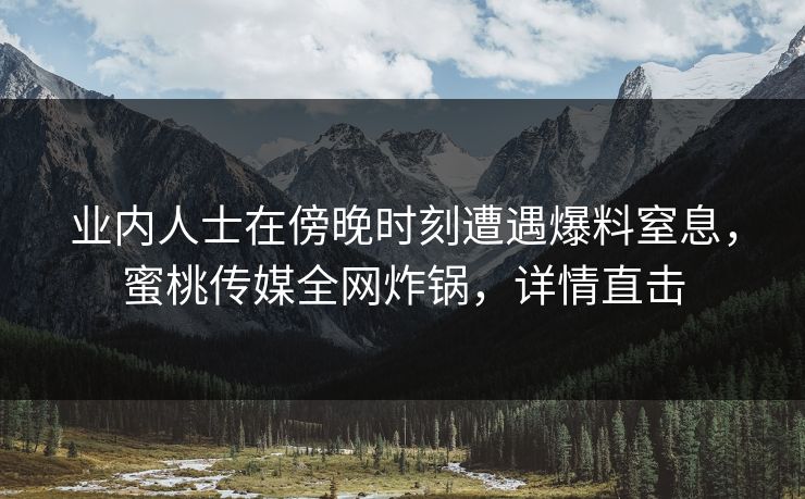 业内人士在傍晚时刻遭遇爆料窒息，蜜桃传媒全网炸锅，详情直击