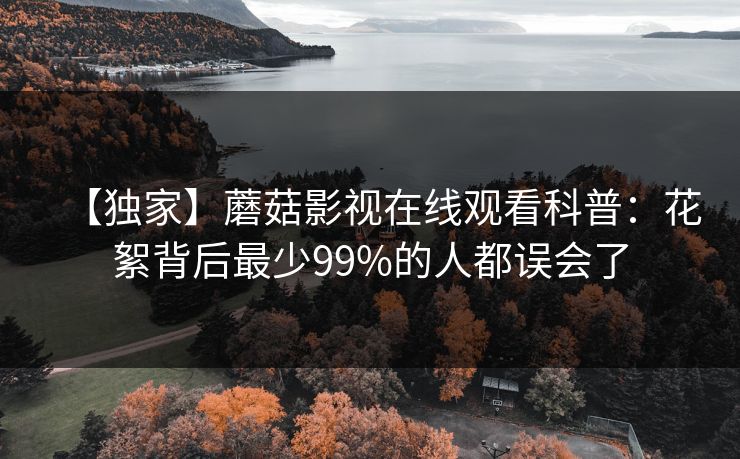 【独家】蘑菇影视在线观看科普：花絮背后最少99%的人都误会了