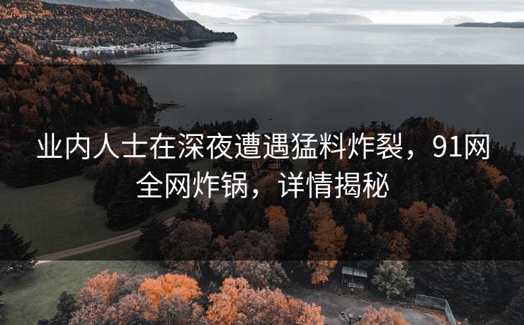 业内人士在深夜遭遇猛料炸裂，91网全网炸锅，详情揭秘