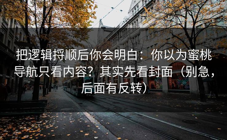 把逻辑捋顺后你会明白：你以为蜜桃导航只看内容？其实先看封面（别急，后面有反转）